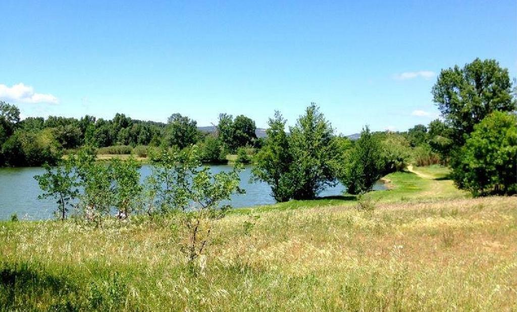 Camping Le Fief D'Anduze Eksteriør billede